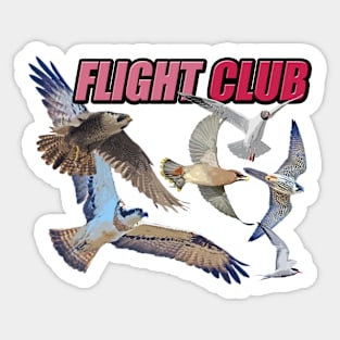 Flight Club - Birds in flight. Sticker